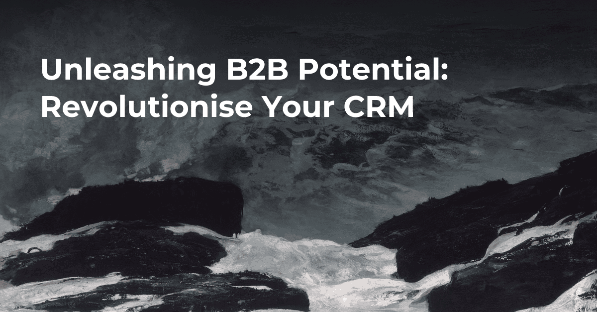 Unleashing B2B Potential: Revolutionise Your CRM's cover image